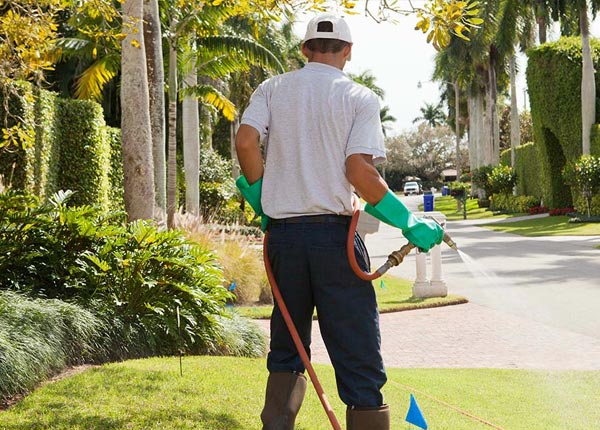 About Asbury Park NJ Pest Control Pros